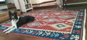 Kilim Salotto180x120 ADAMELLO TAPPETI Kilim Salotto 180x120