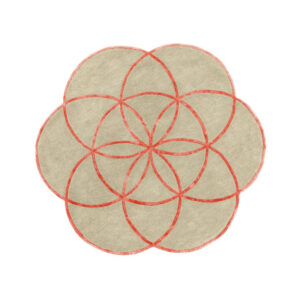 Tappeto lotus Pink rotondo cm200 ADAMELLO TAPPETI tappeto lotus Pink rotondo